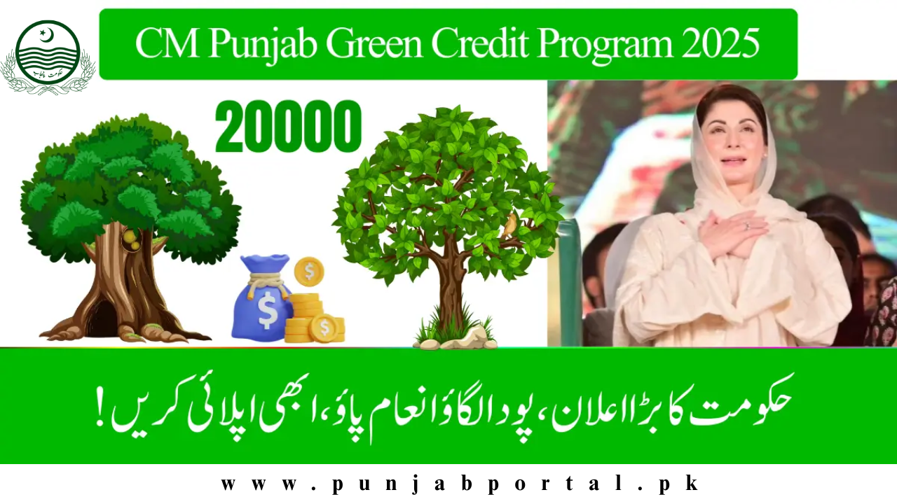 CM Punjab Green Credit Program 2025 – Earn Rs 10,000 for Going Green