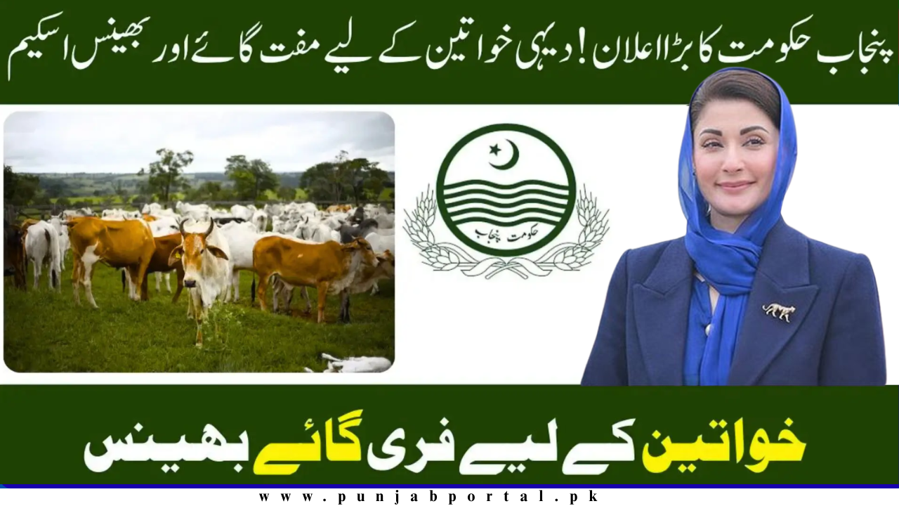 CM Punjab Livestock Card Phase 2 (2025)