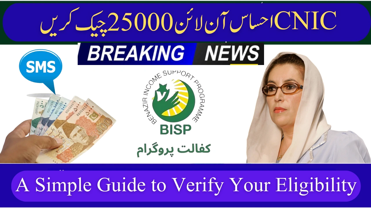 Ehsaas CNIC Check Online 25000 – A Simple Guide to Verify Your Eligibility